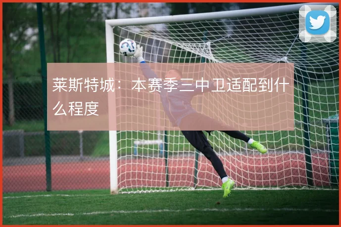 莱斯特城:本赛季三中卫适配到什么程度